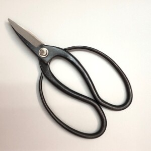 gd-5552